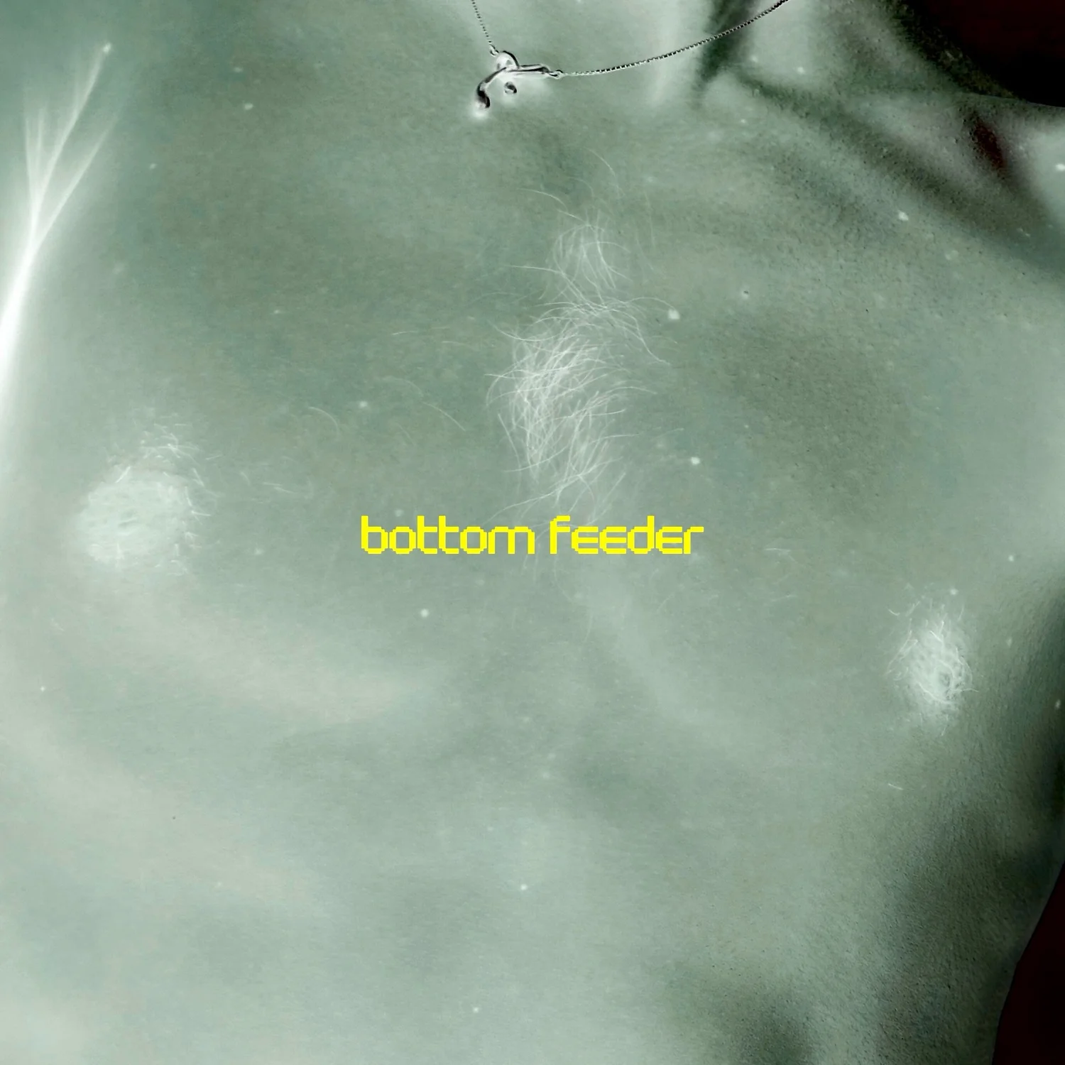 BOTTOM FEEDER