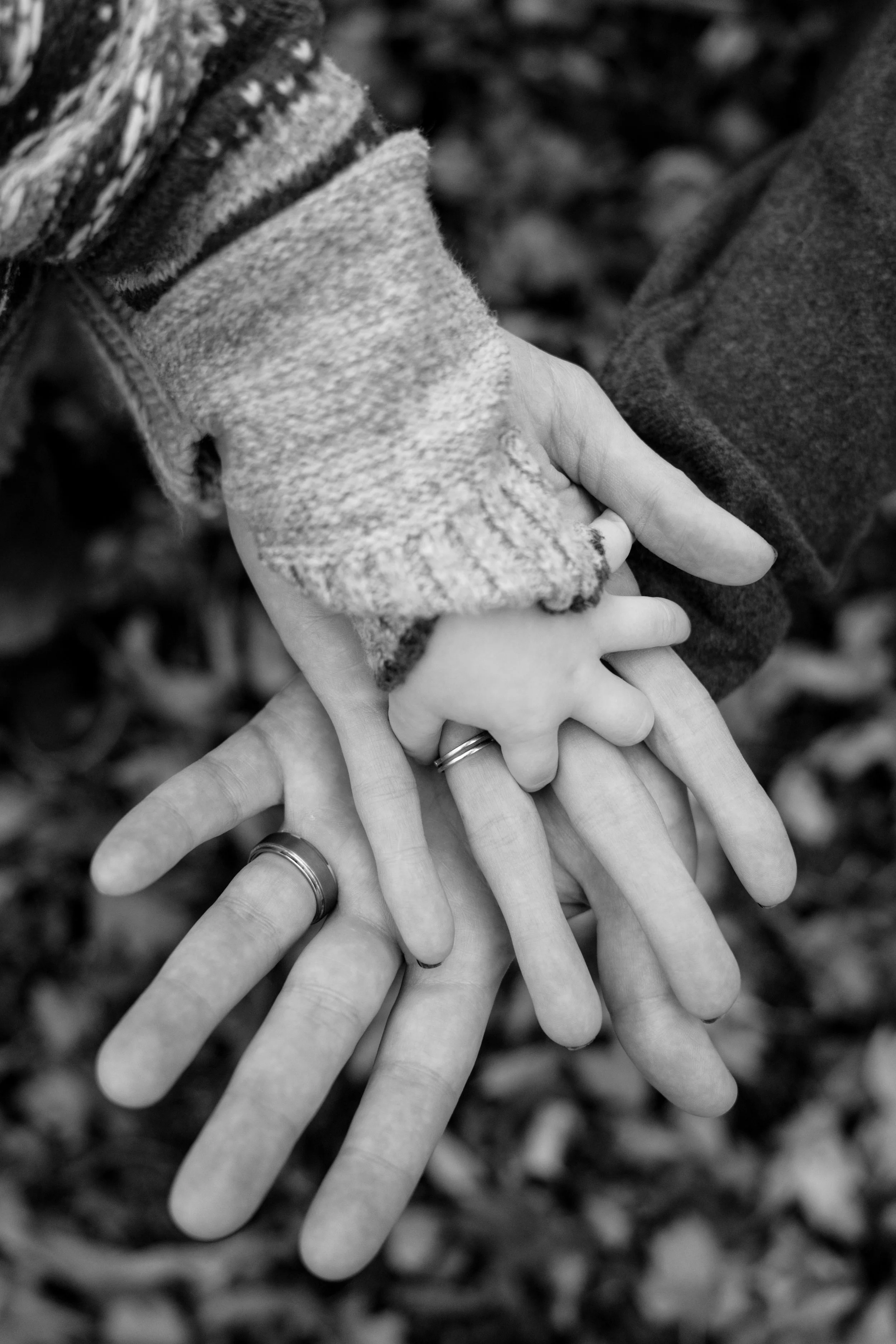 Millers Family Photos - Hands