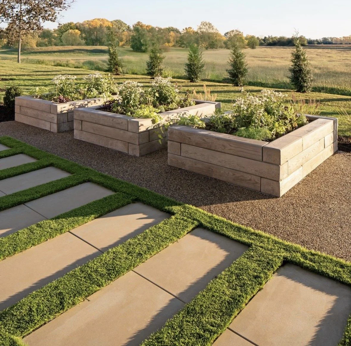 Three wooden rectangular planter boxes filled with green leafy plants are arranged in a row on a gravel pathway in a well-maintained garden. In the foreground, stepping stones are set in patches of neatly trimmed grass, leading toward the planters. The background features a spacious, open grassy field with scattered trees and a distant treeline under a clear sky.