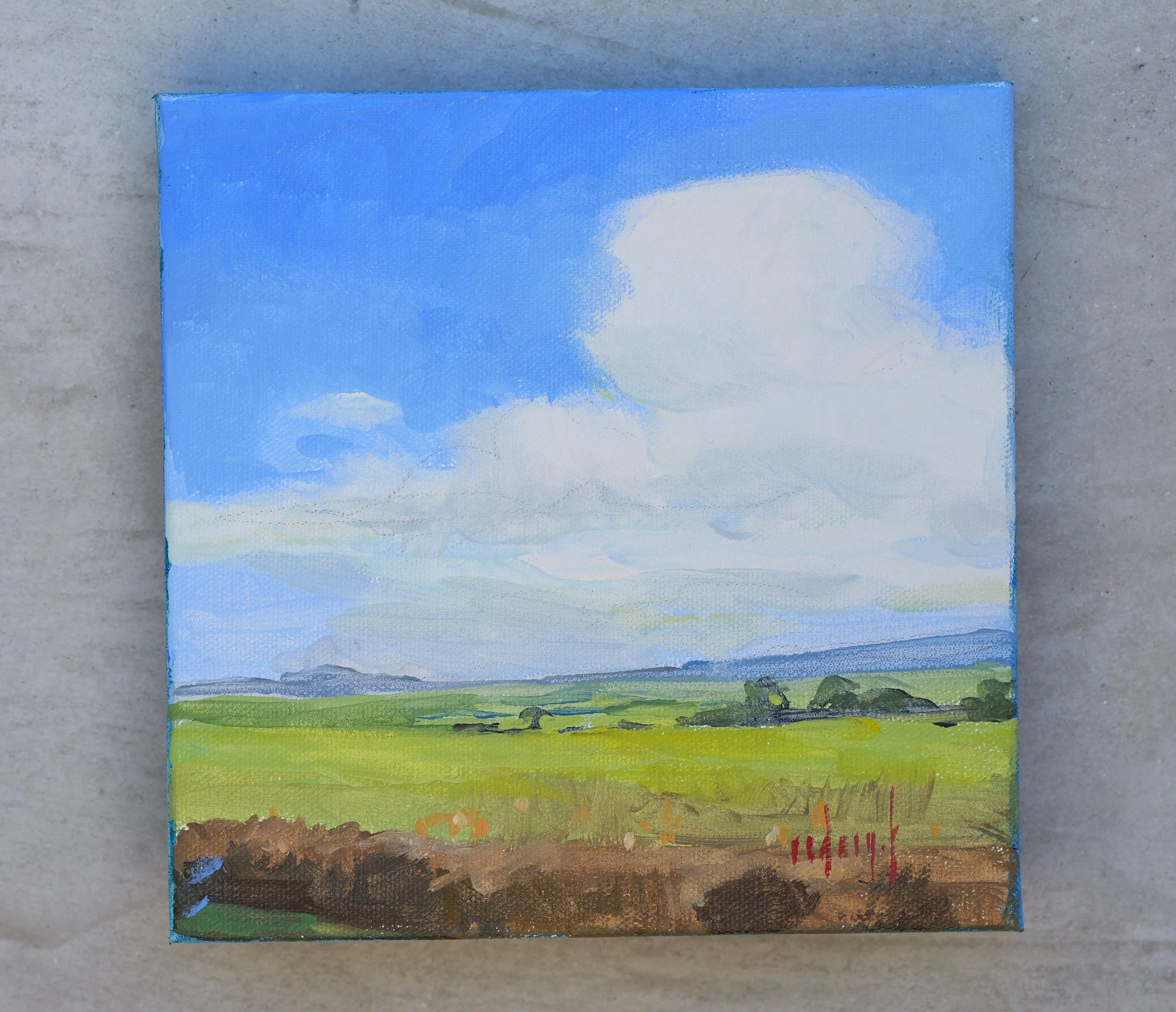 Fields
8"x8" acrylic on canvas