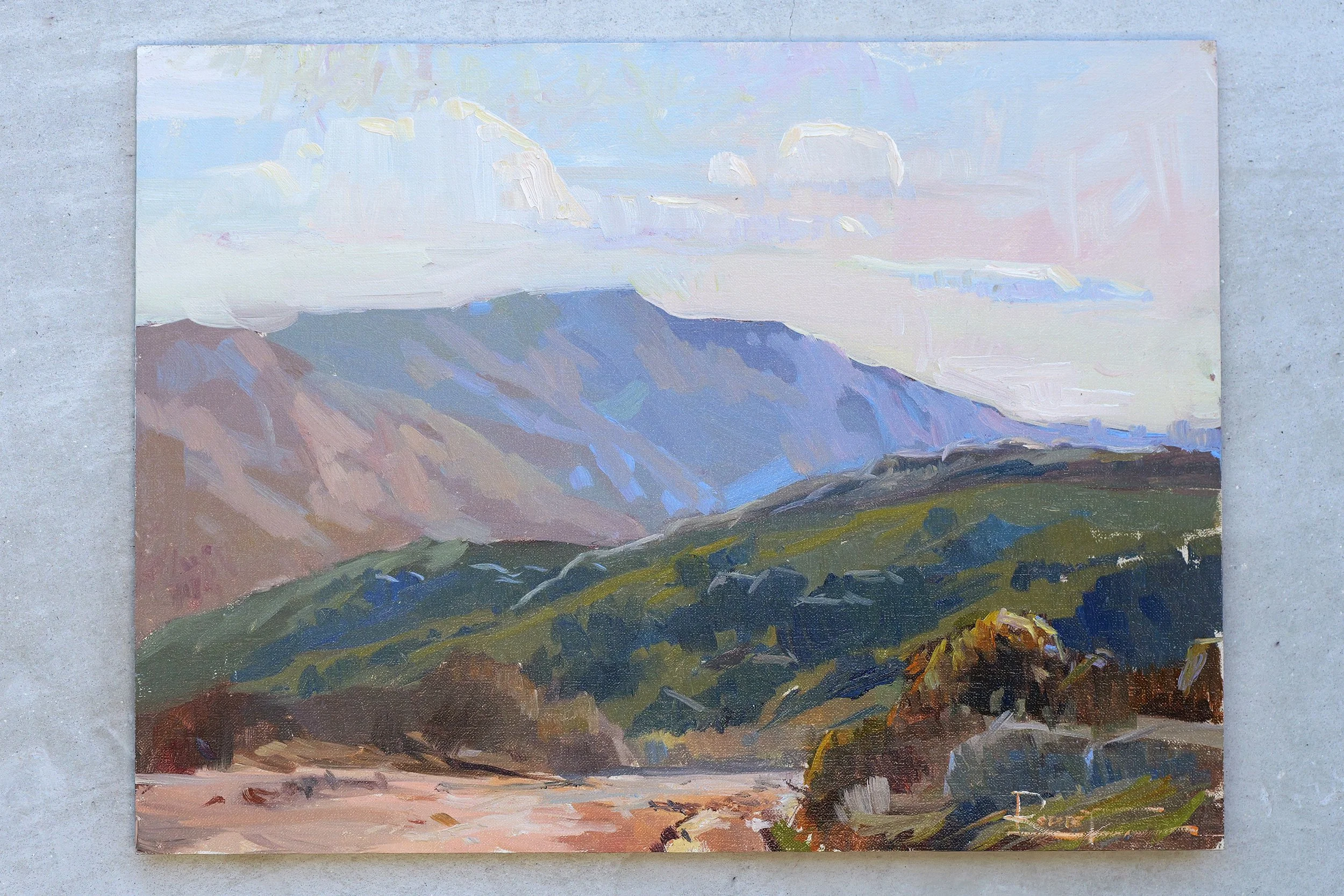View of the Mountains
9"x12" 