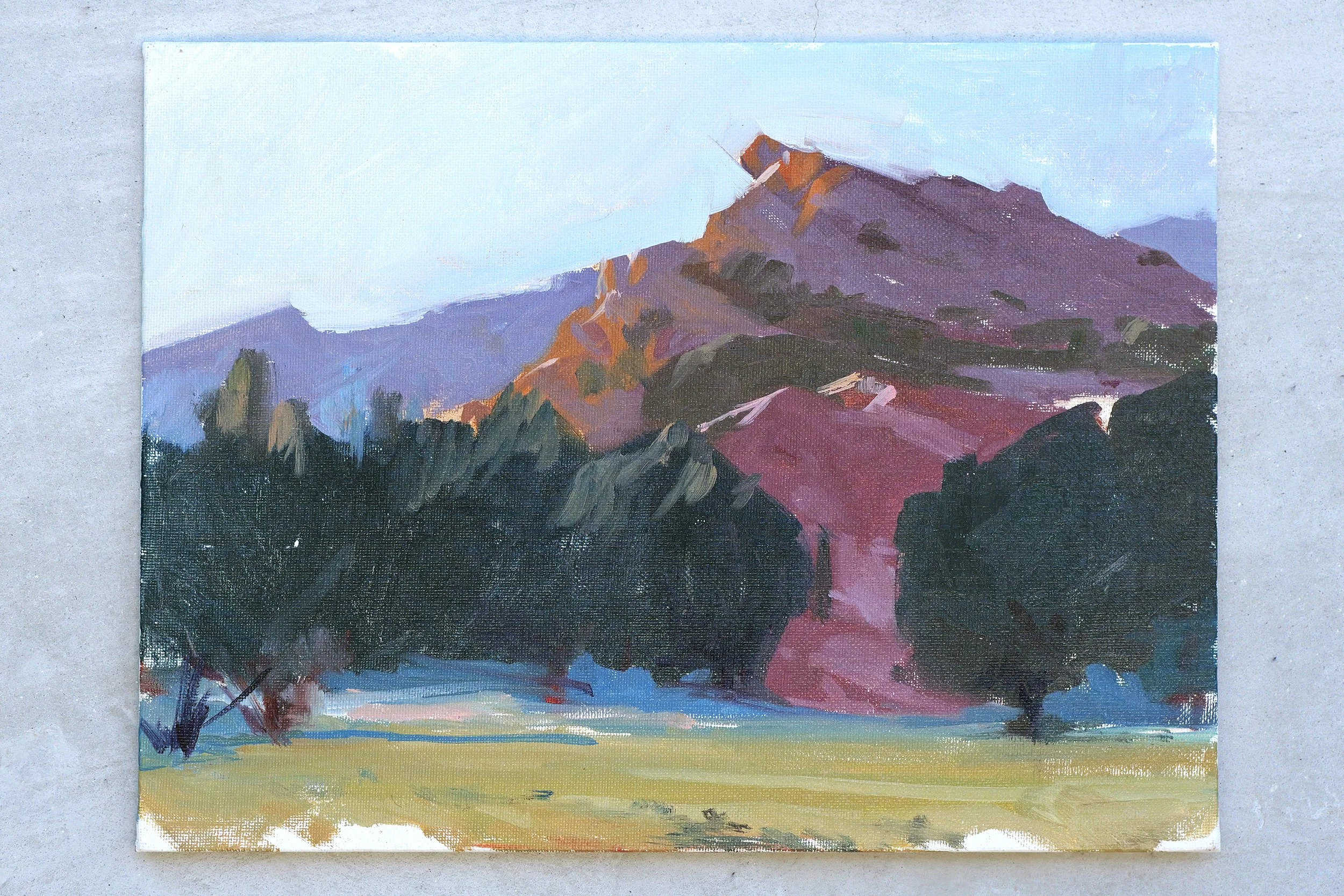 Field Study
9"x12" 