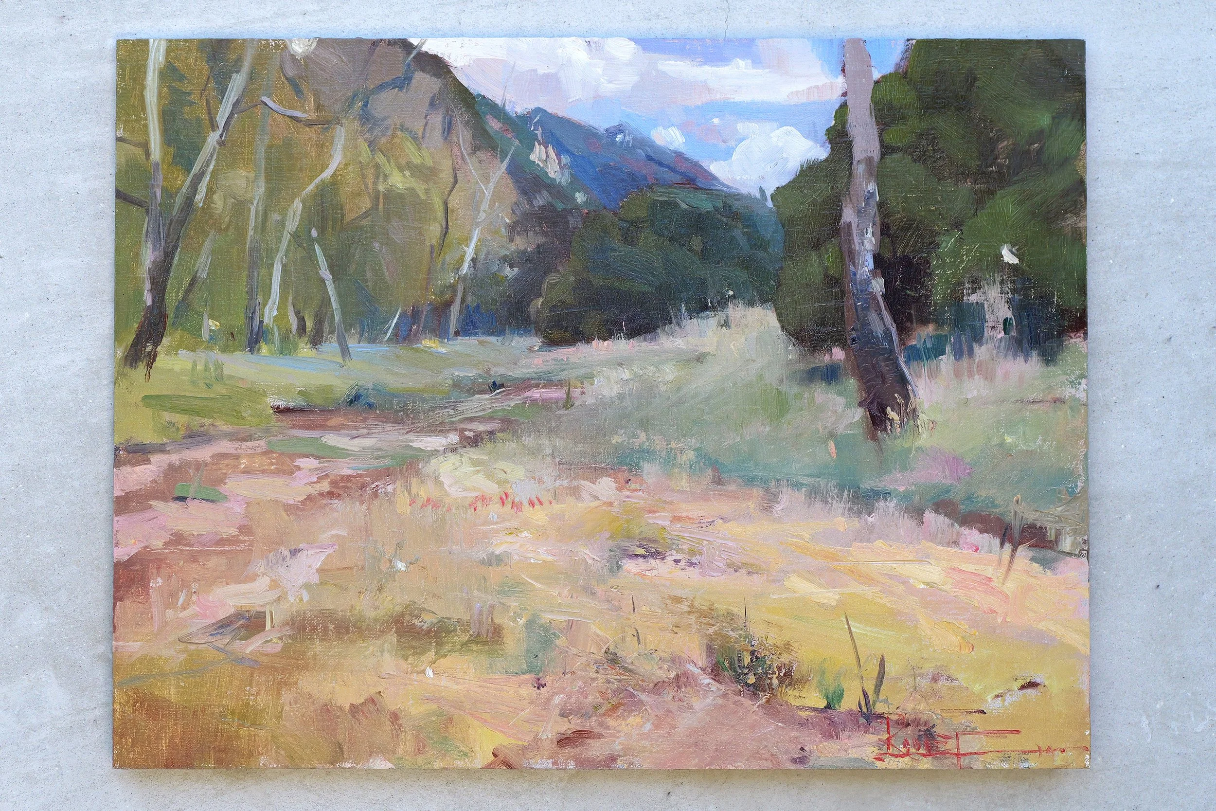 Field Day
9"x12" 