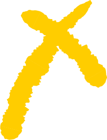 Yellow handwritten letter X on a black background.