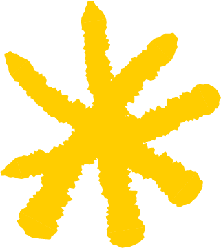 Yellow asterisk shape on a black background.