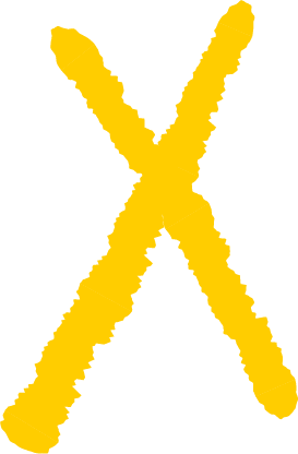 A yellow X on a black background.
