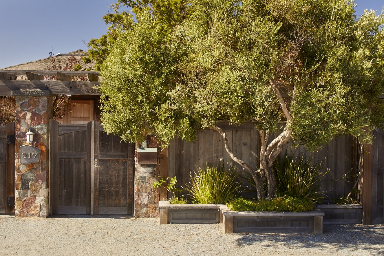 Wooden gate and fence with a large green tree, bushes, and gravel ground outside a house.
