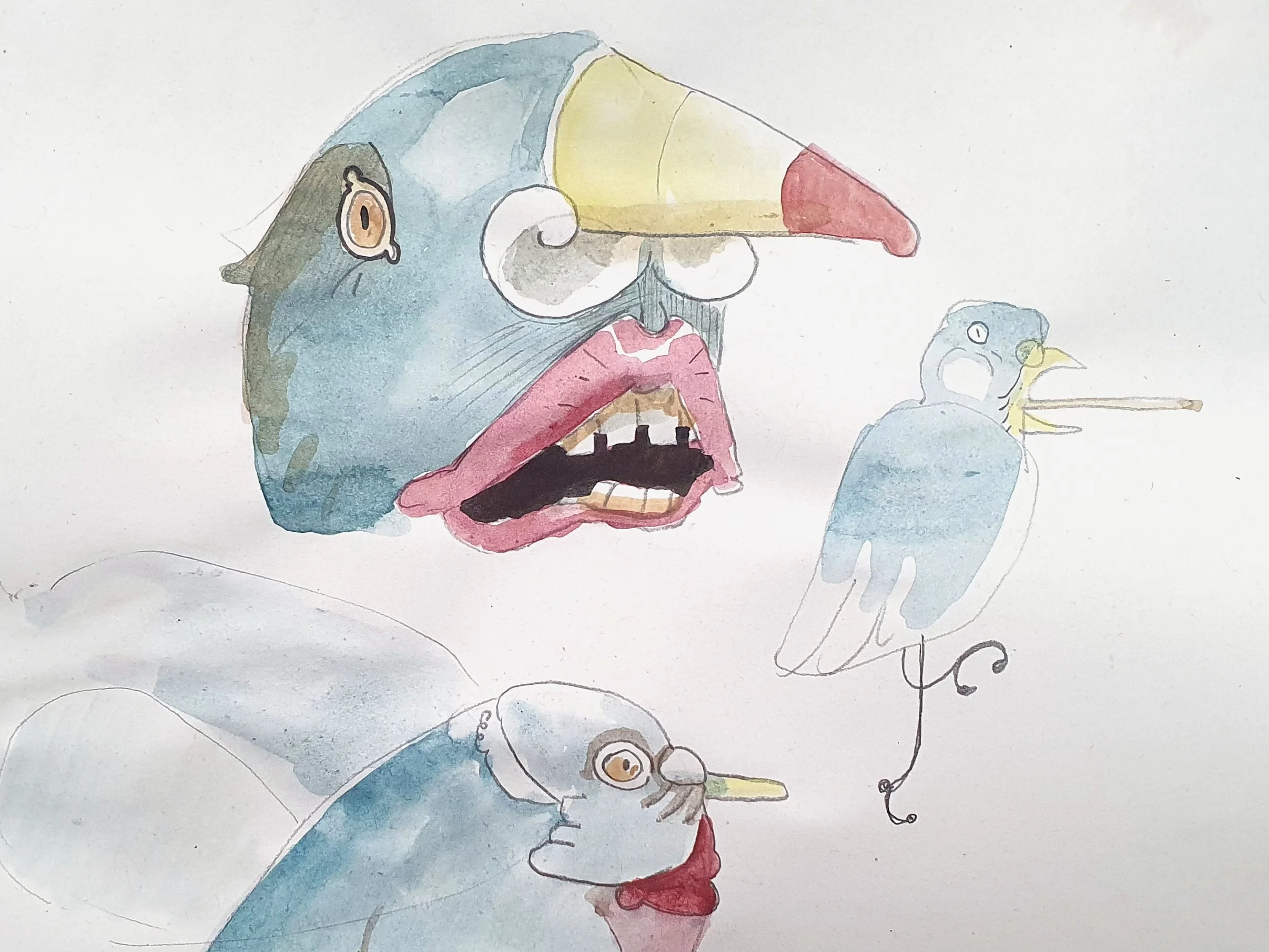 Grotesque Pigeon - sketchbook