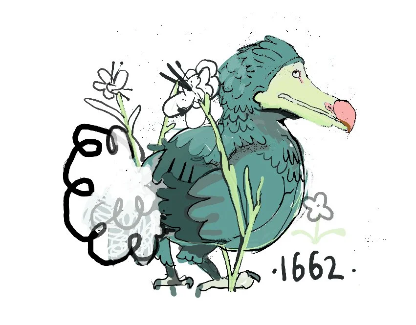 Dodo 