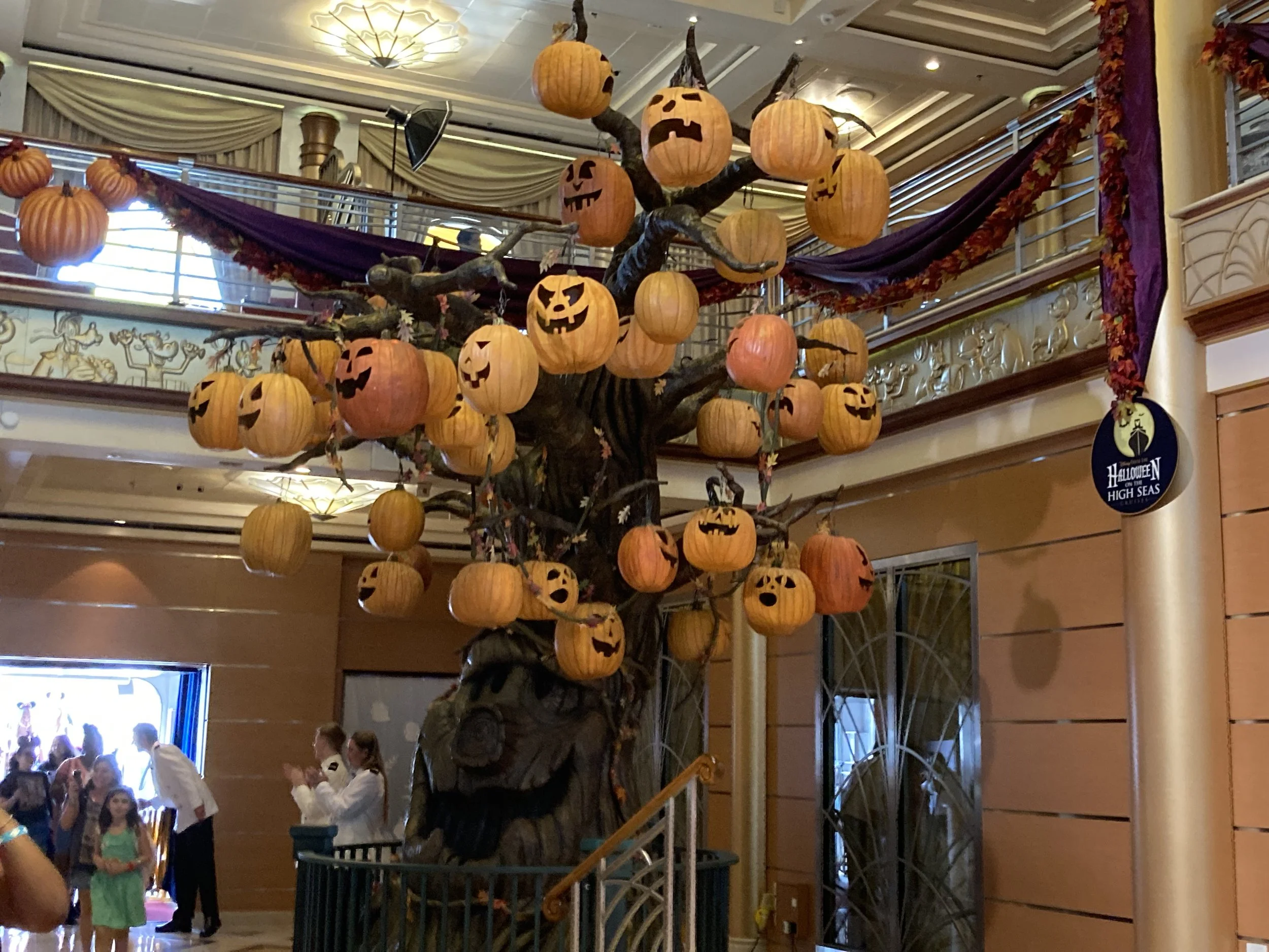 IMG_8504.jpeg