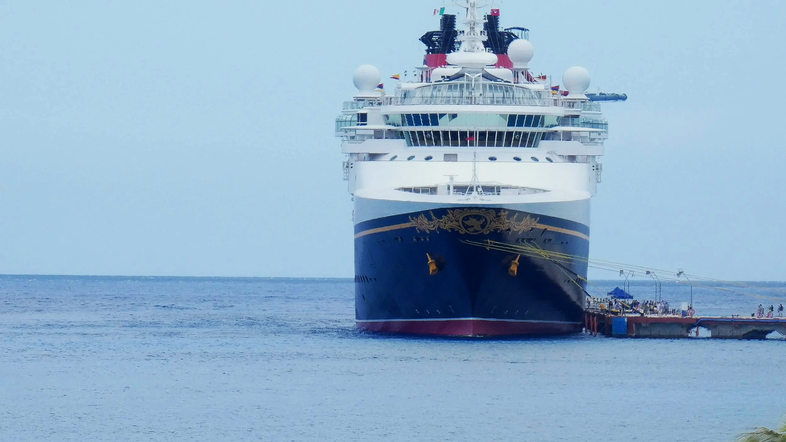 Disney Magic Fact Sheet