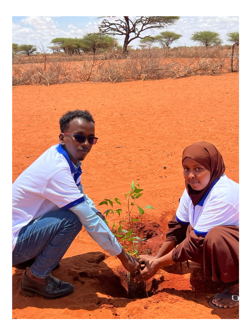 Two people planting a young tree in a desert landscape with sparse trees and reddish-orange sand.