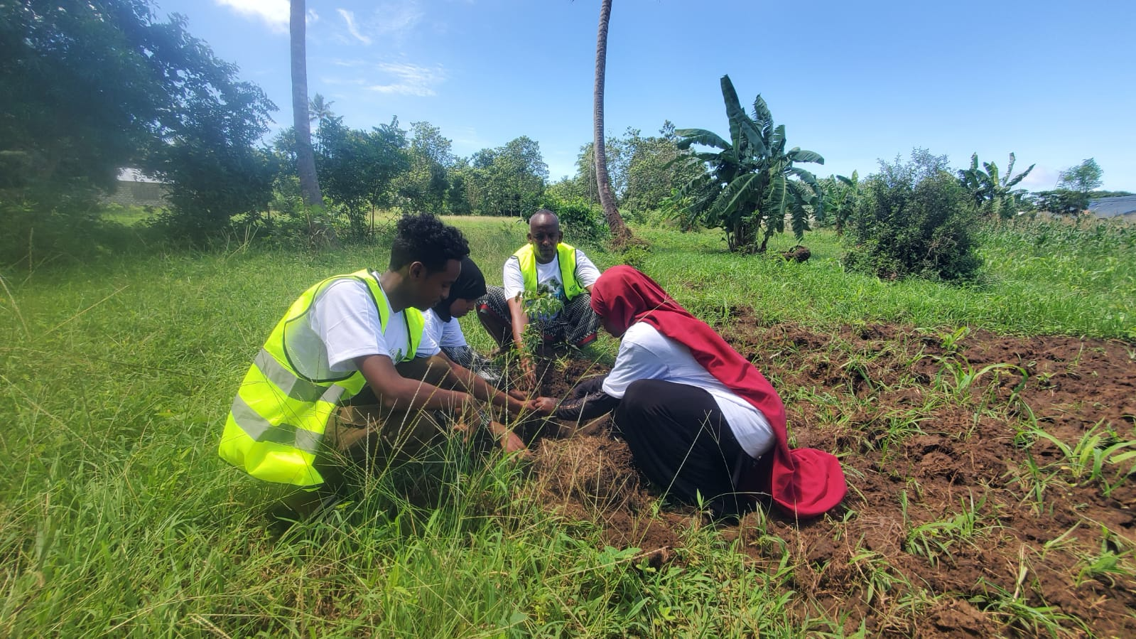 youth plating trees