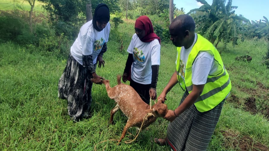 Three people, two women and one man, are holding a young goat. The women are wearing headscarves and white T-shirts, while the man is wearing a yellow safety vest over a white T-shirt. They are outdoors in a grassy area with trees in the background, and appear to be caring for or rescuing the goat.