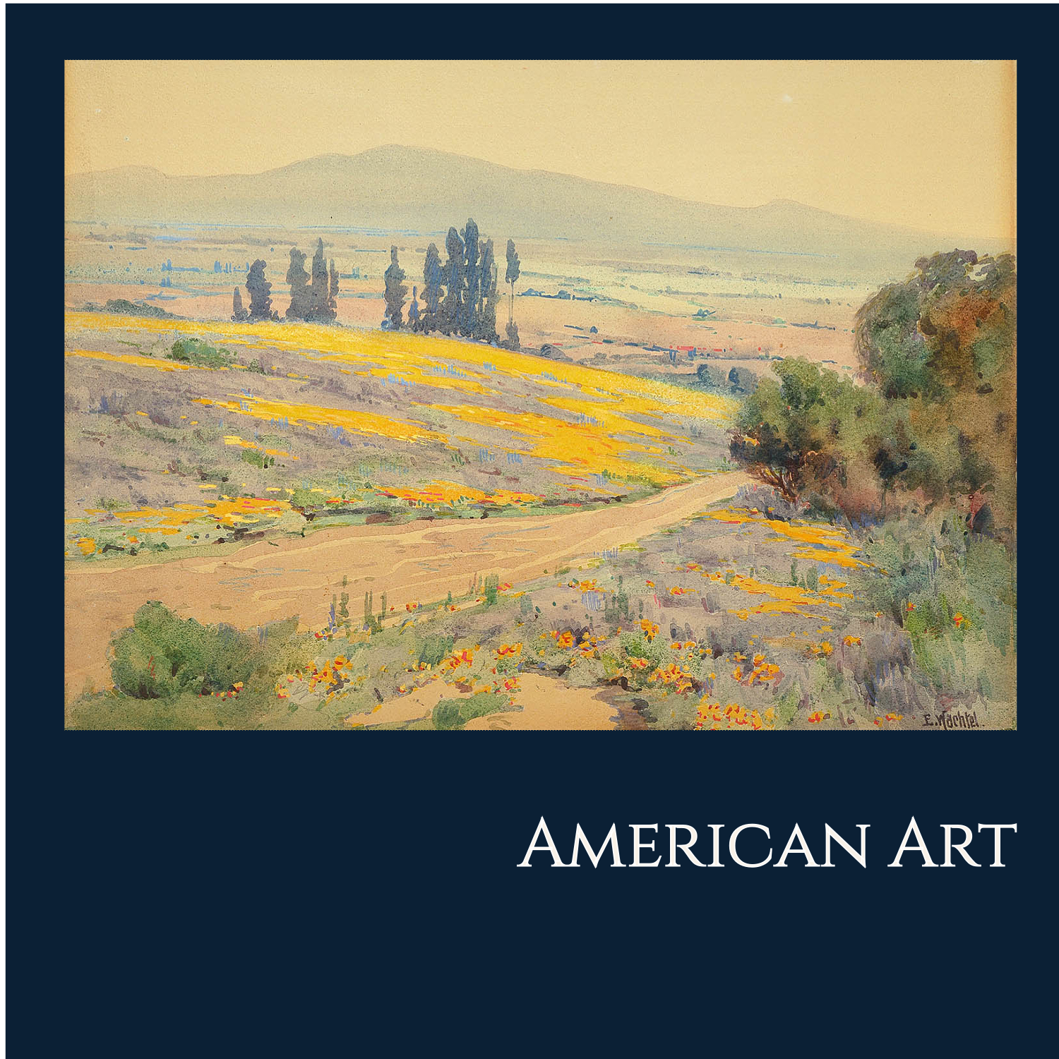 banner_american_website.png