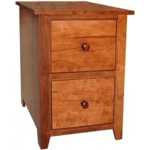 A Series 2 Drawer Filing Cabinet