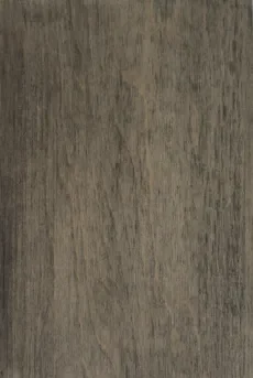 Driftwood Light