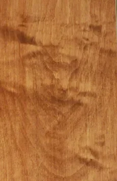 Cinnamon