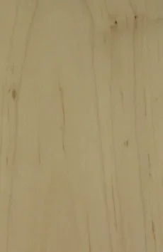White Wash