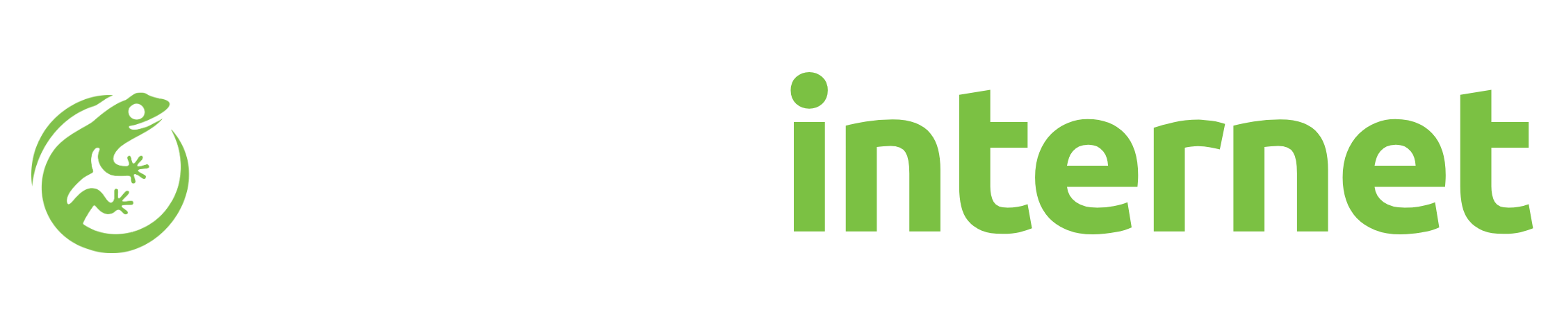 Gecko Internet Logo