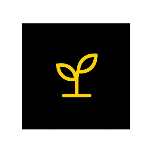 Yellow icon of a sprouting plant on a black background.