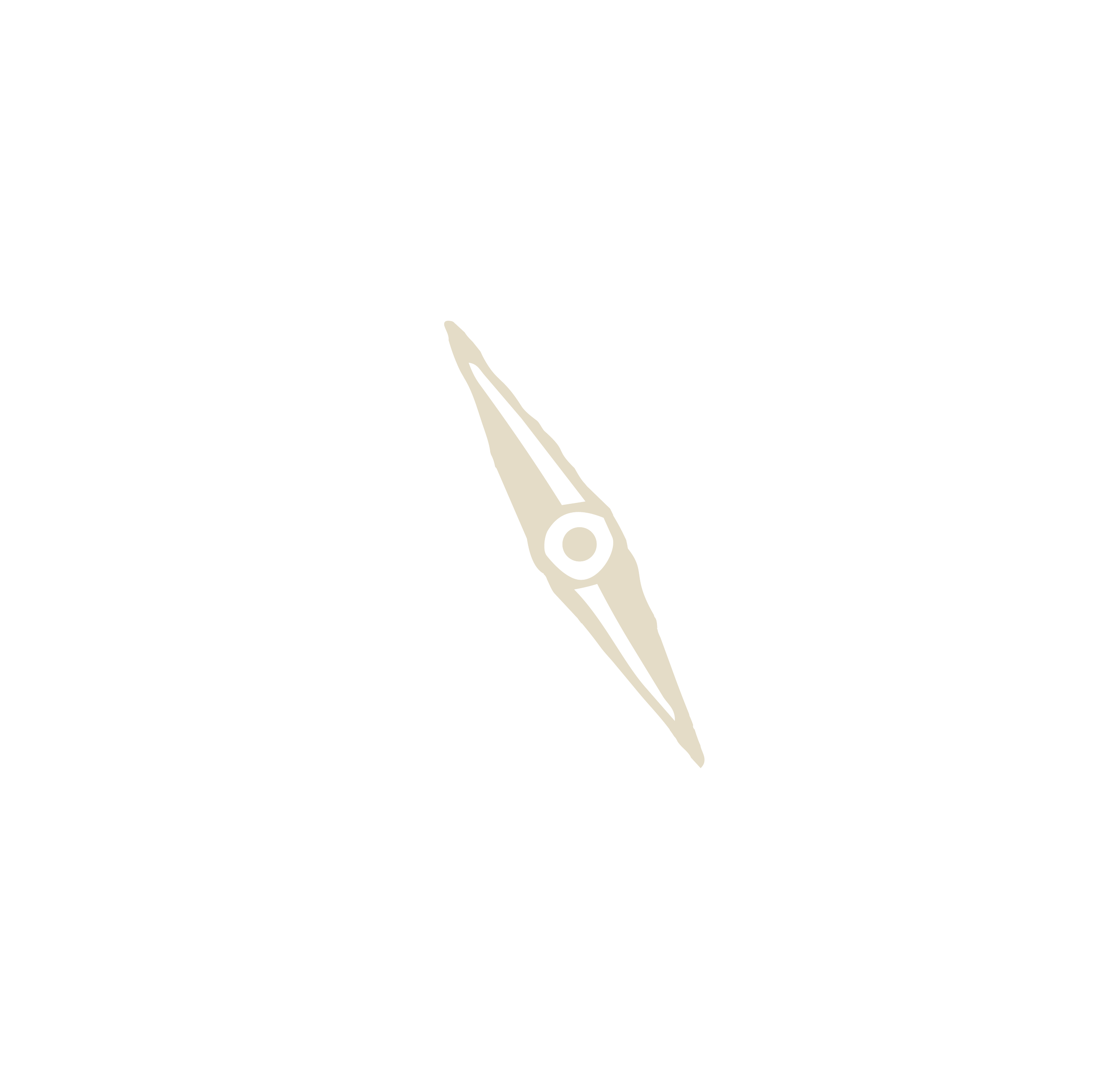 compass rose needle.