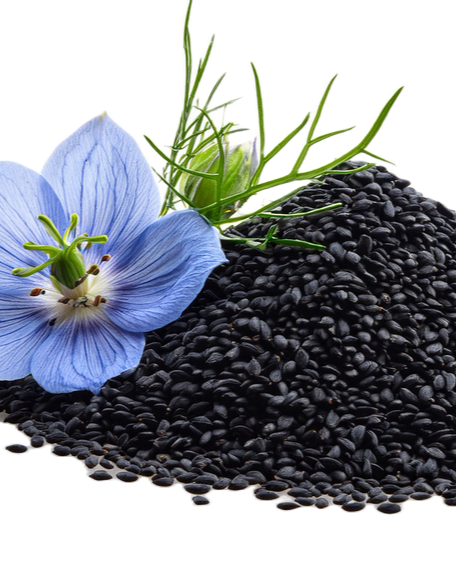 Close-up of a black seed flower lying on a pile of black seeds with green grass blades.