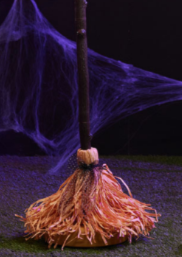 Animated Broom