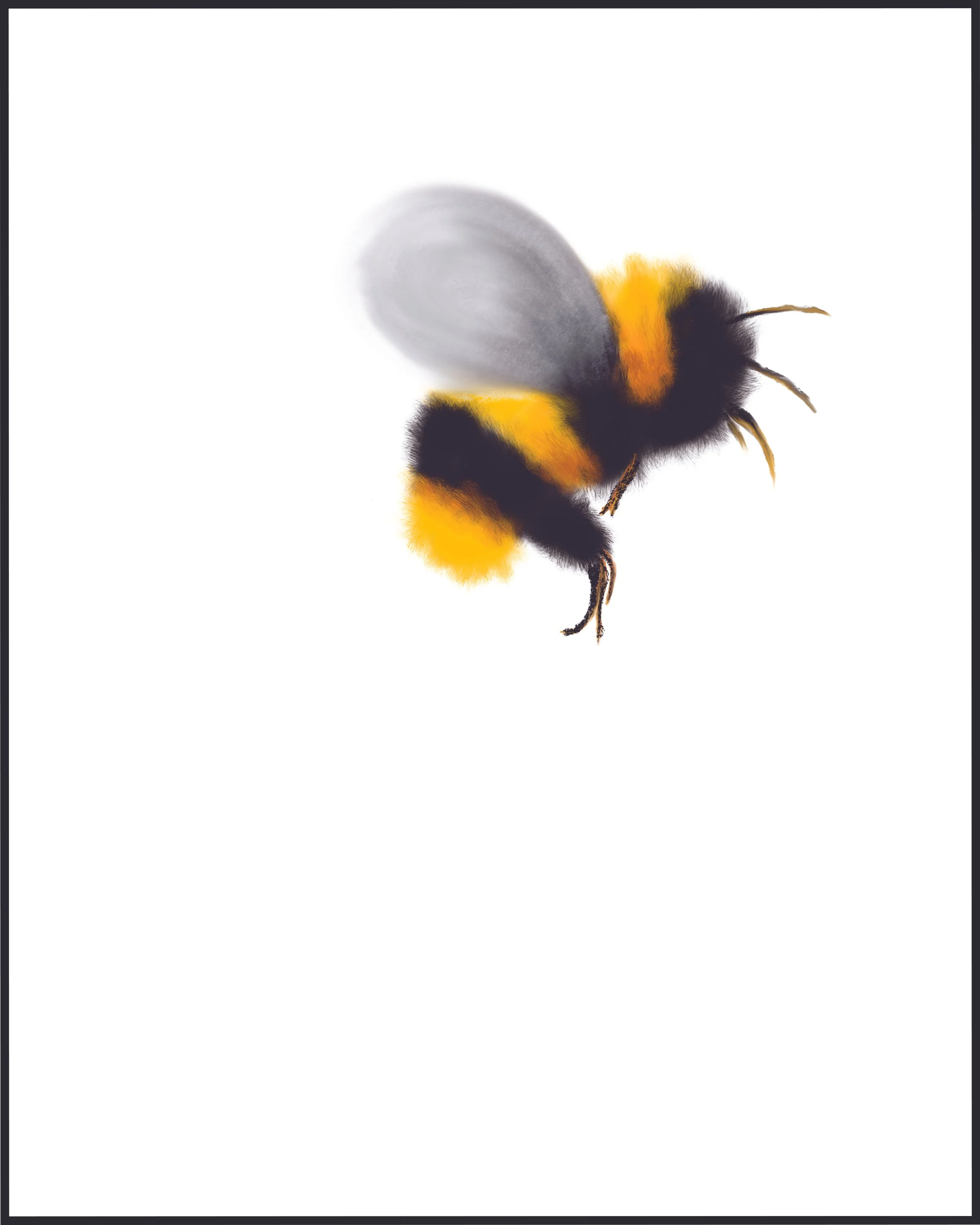 8x10 bee.jpg