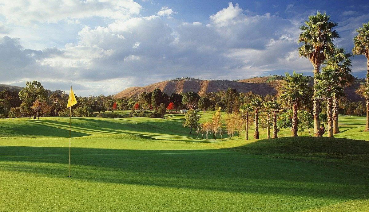 A golf course with green grass, a flag on a hole, and a row of palm trees. Hills and a partly cloudy sky are in the background.