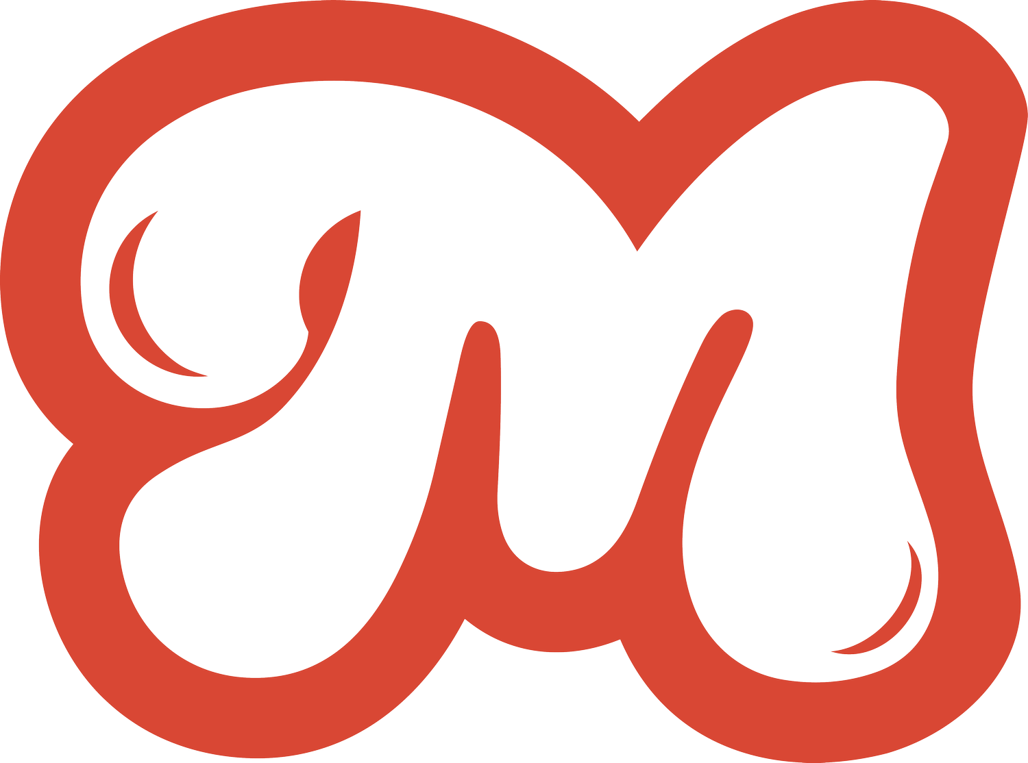 Mousse &amp; co