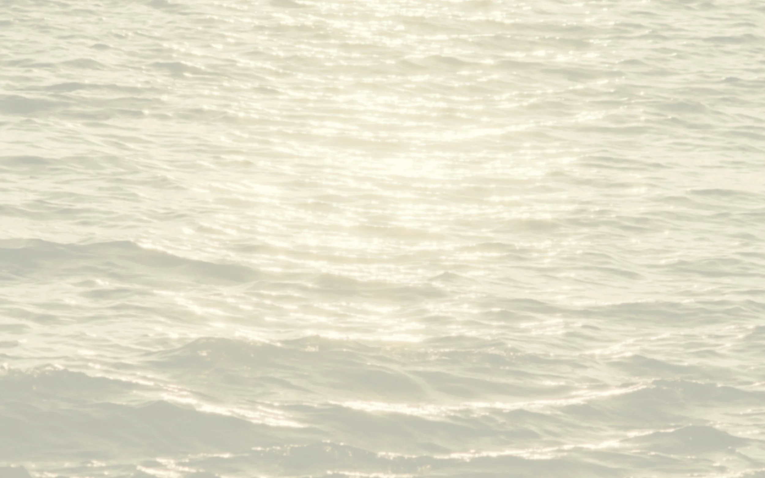 background.jpg