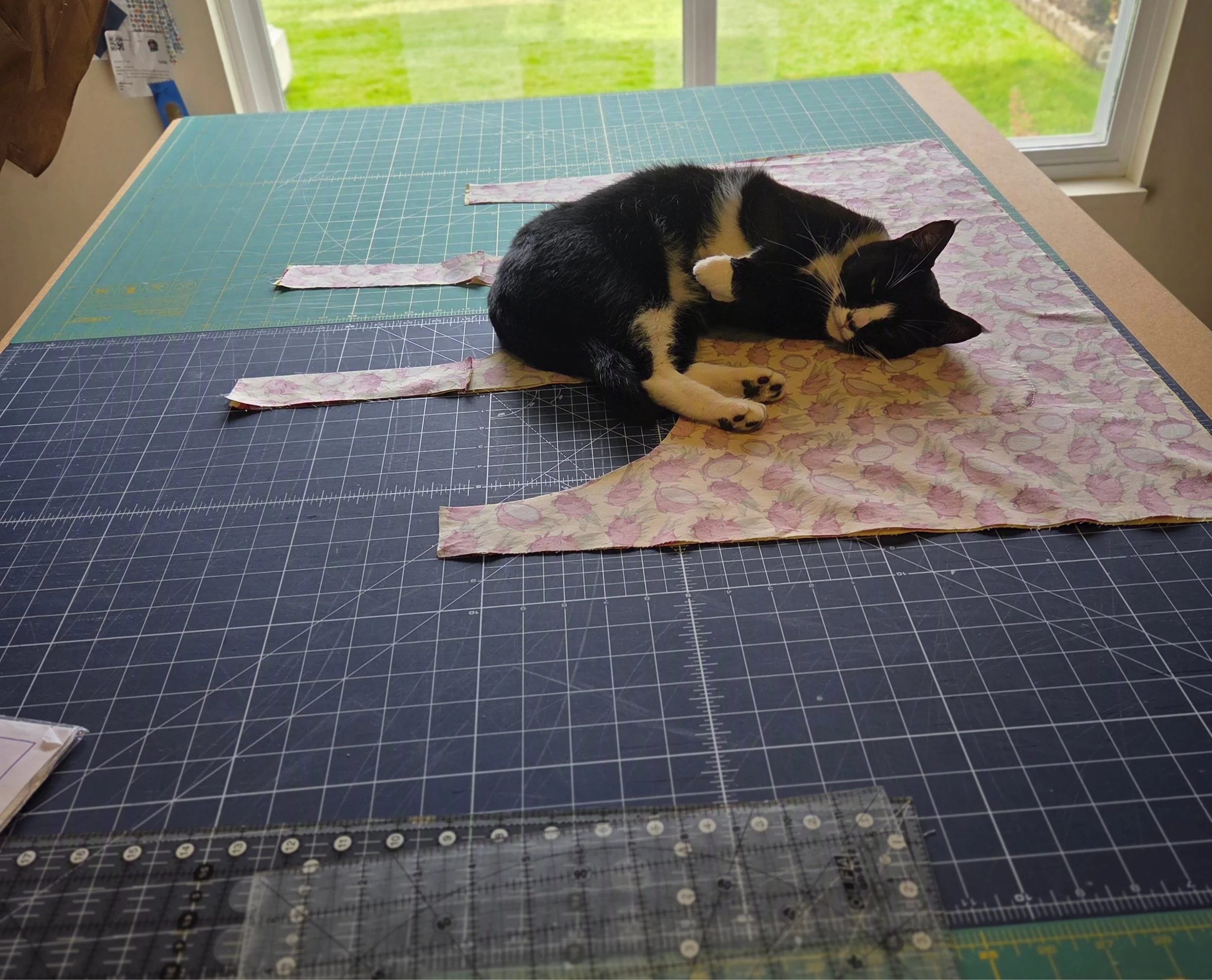feline assistant to sewist