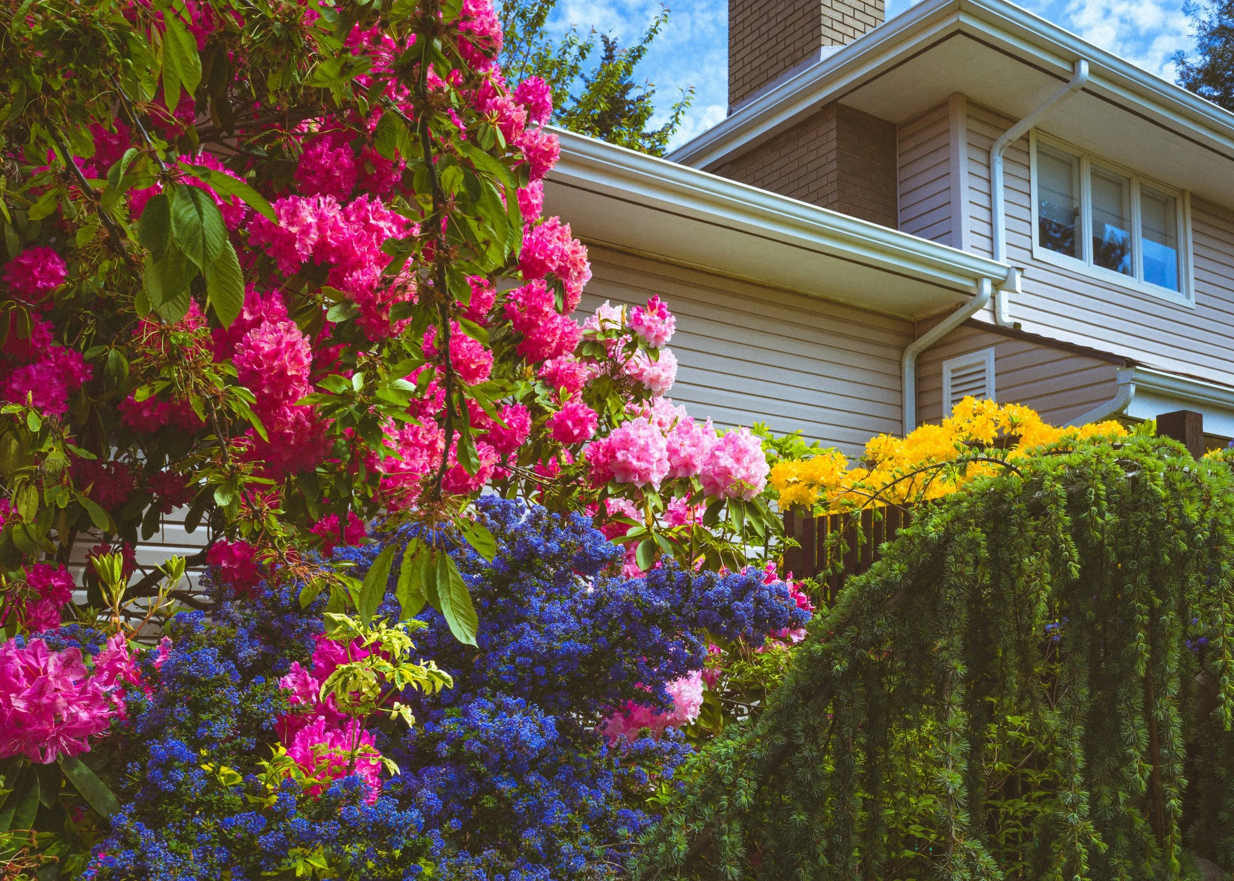 A Spring Gardening Checklist in North Georgia - Creating Curb Appeal that Sells