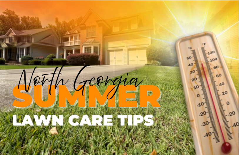 Keeping Your Georgia Yard Beautiful Through the August Heat
