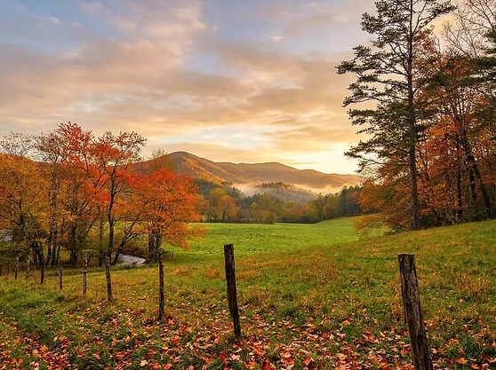 Living in Jasper, Georgia