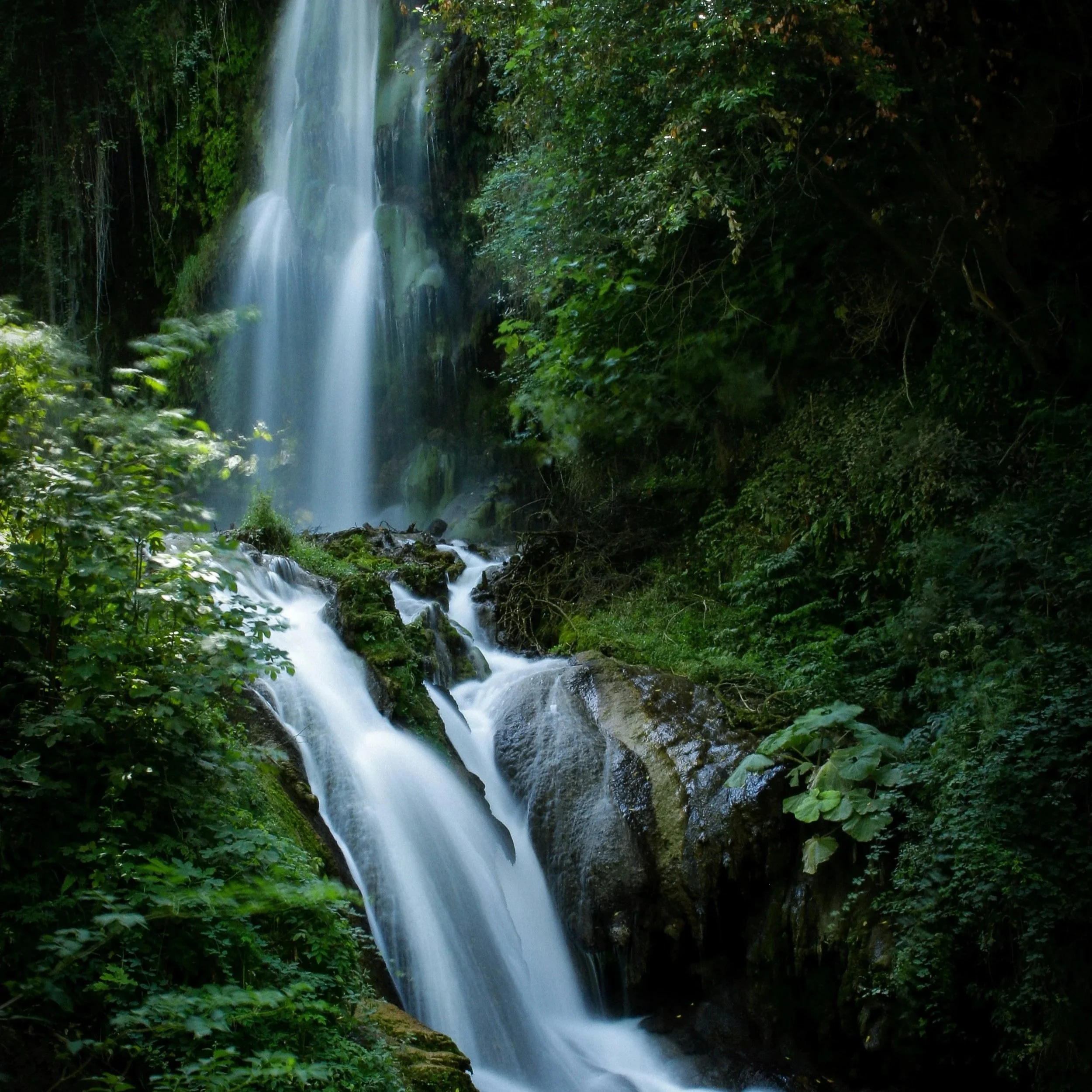 A waterfall in a lush green forest with water flowing down rocks.