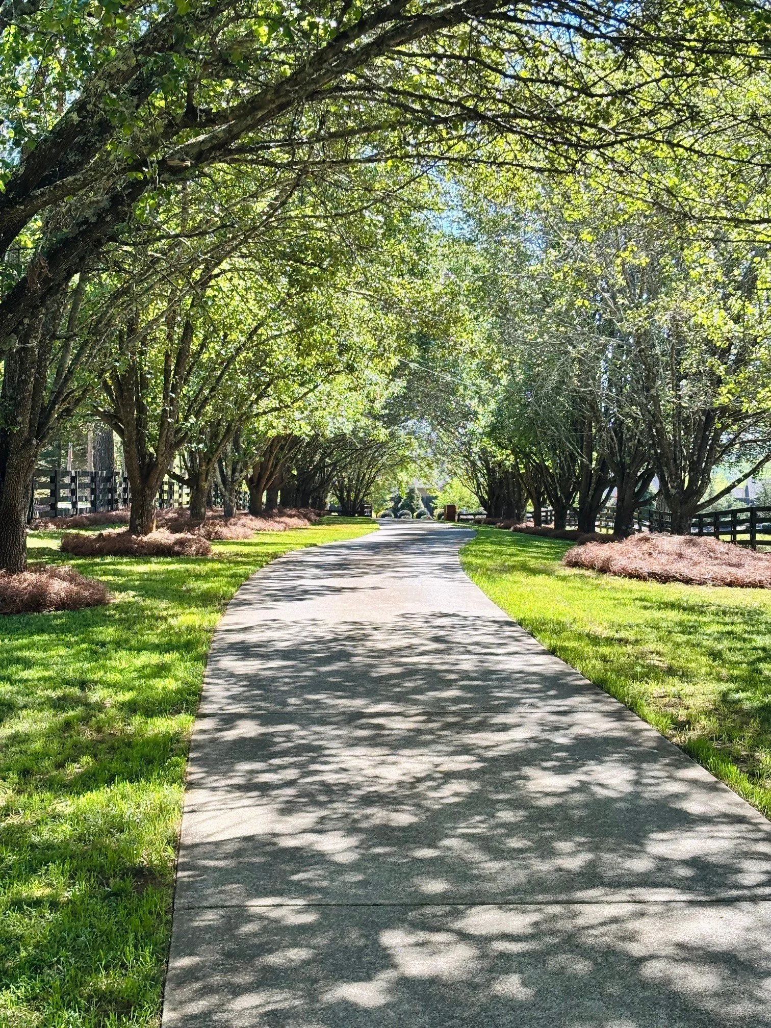 North Georgia areas offer so many outdoor experiences that bring community, friends, and family together. 