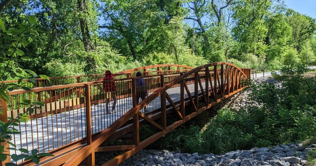 Two people walking on a wooden bridge surrounded by lush green trees on a sunny day.