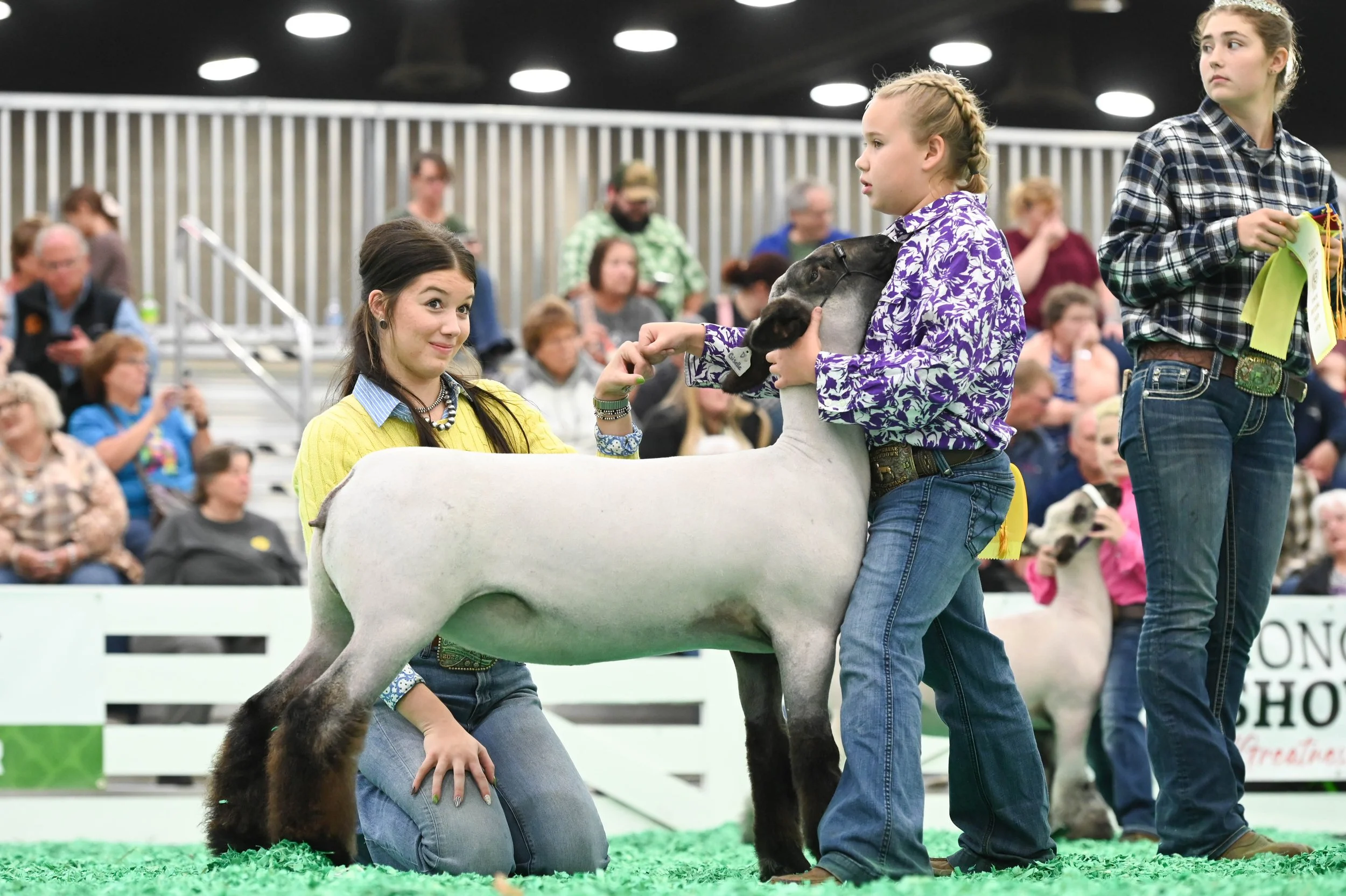 Two young women showing a goat at an indoor livestock competition. The woman on the left is kneeling and smiling, wearing a yellow sweater and jewelry. The woman on the right is holding the goat's head, standing, and wearing a purple and white patterned shirt. There are people and a railing in the background.
