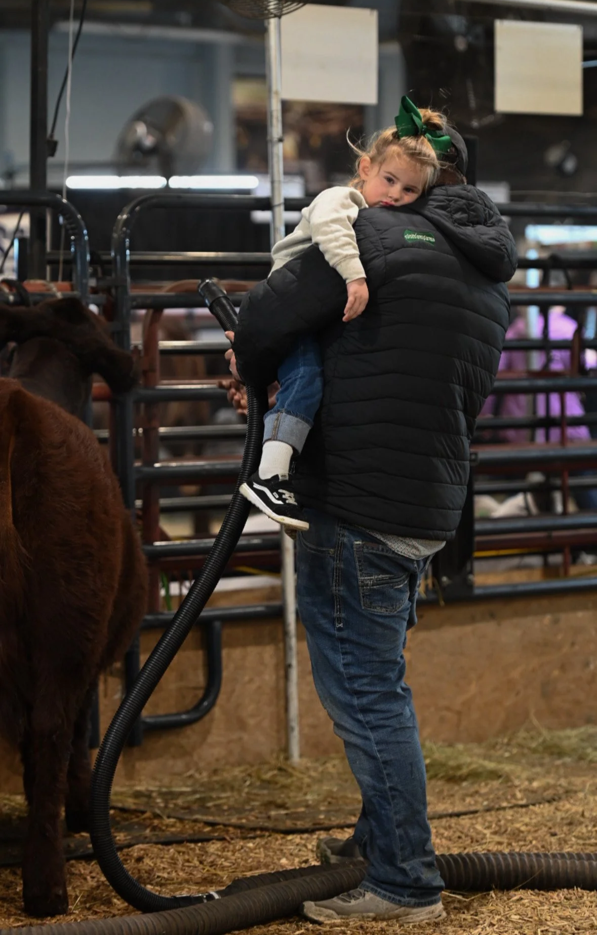A young girl with a green bow in her hair is resting her head on an adult's shoulder while being carried in a barn or animal enclosure, with a cow nearby and hay on the ground.