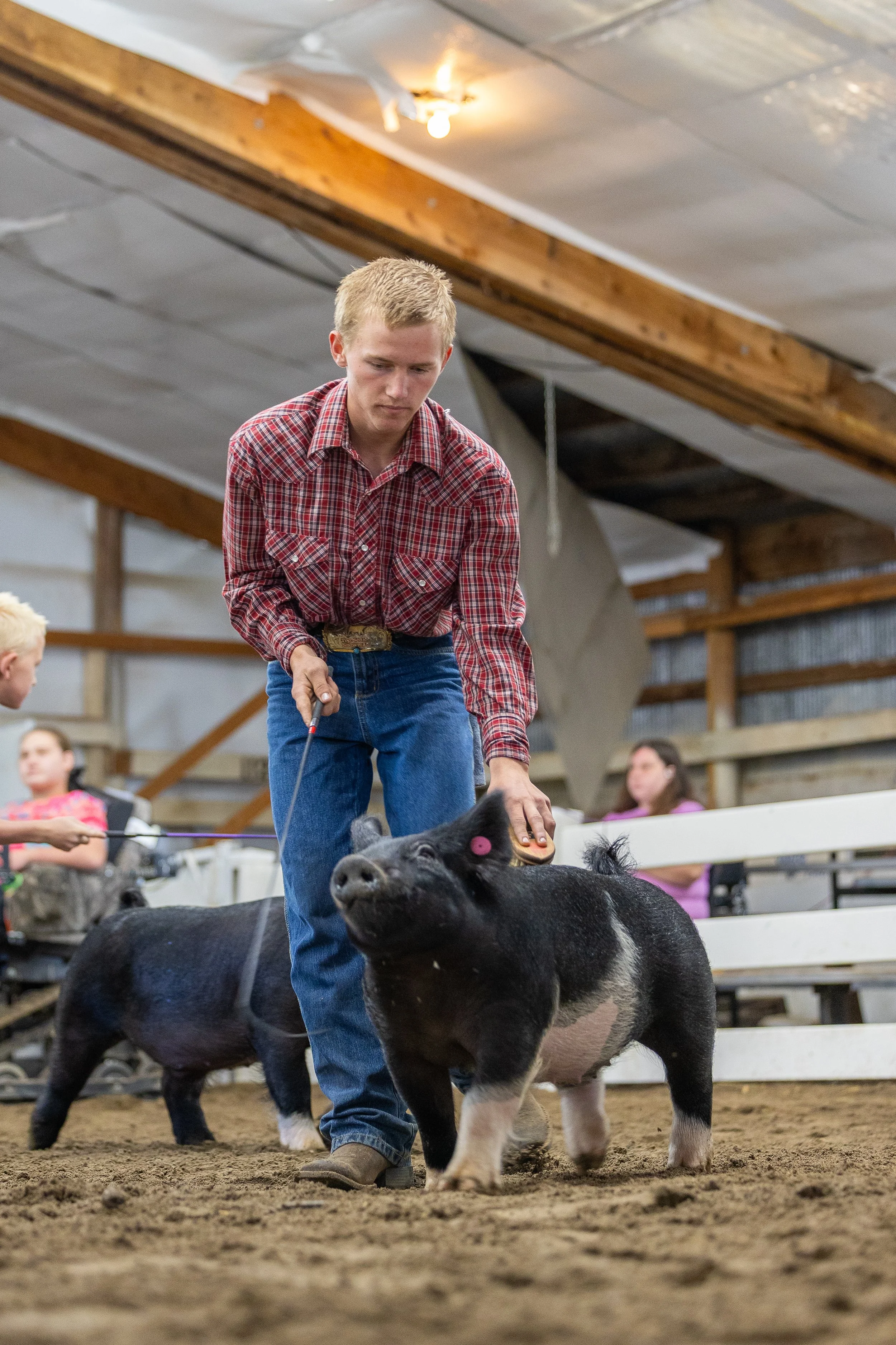 A young man in a red plaid shirt and jeans showing a Pig in an indoor livestock arena with people in the background.