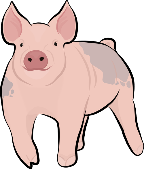 Cartoon pig with pink skin, large ears, and a small curly tail.