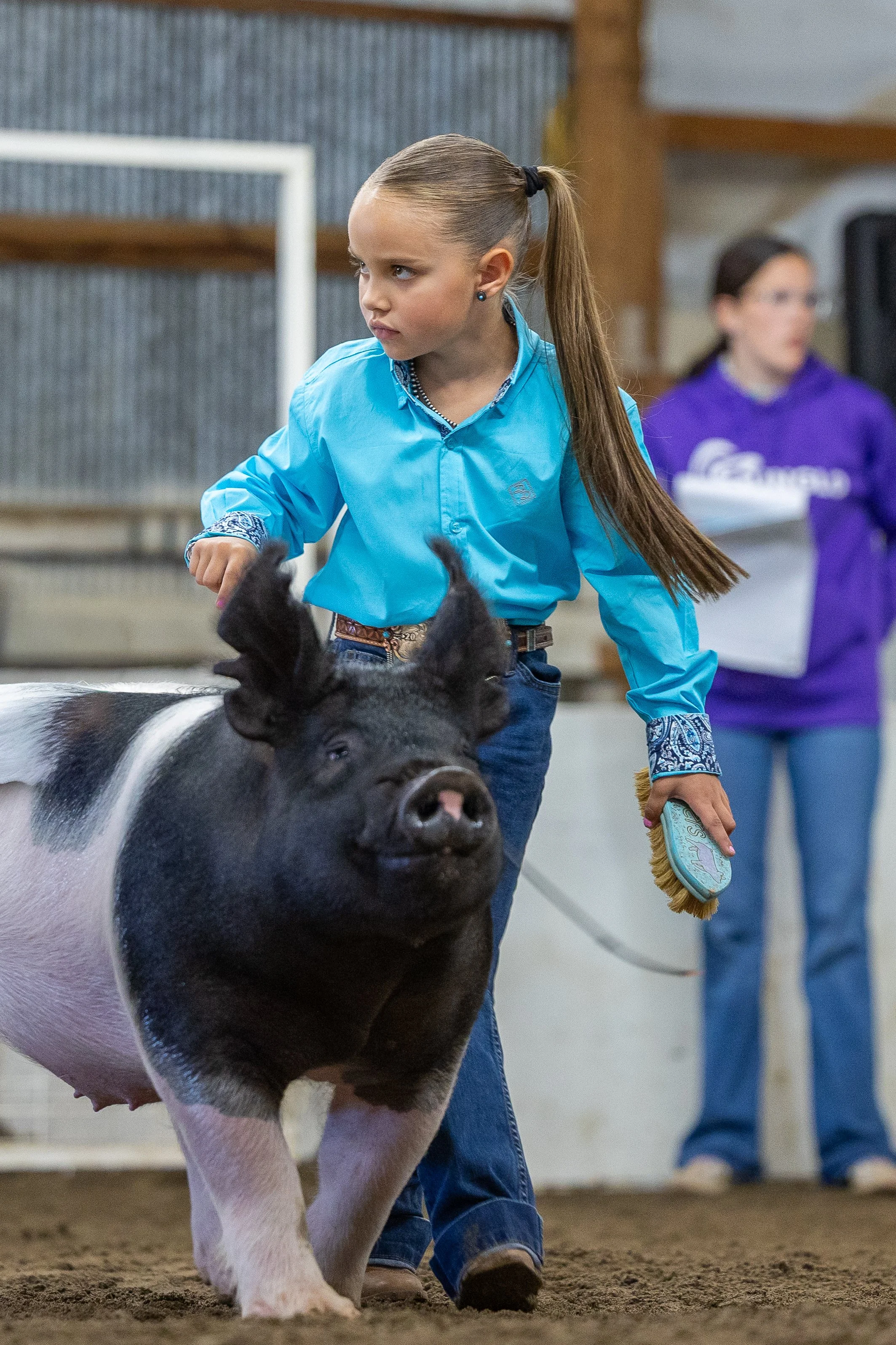 A young girl with long blonde hair in a ponytail, wearing a blue Western-style shirt and jeans, holding a fly swatter, leading a black and white pig in an indoor setting with a dirt floor and a blurred person in the background.