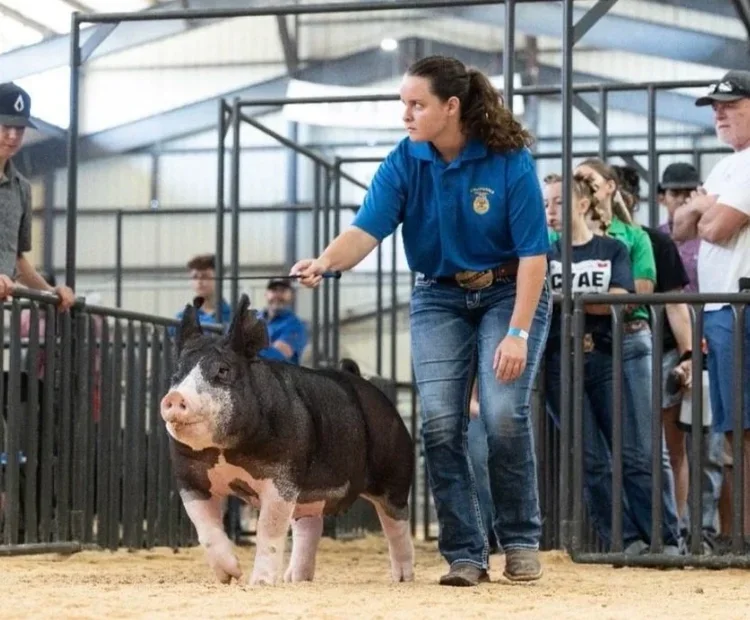 A woman in a blue shirt leading a small pig in a show ring, with onlookers behind a fence inside a barn or exhibition hall.