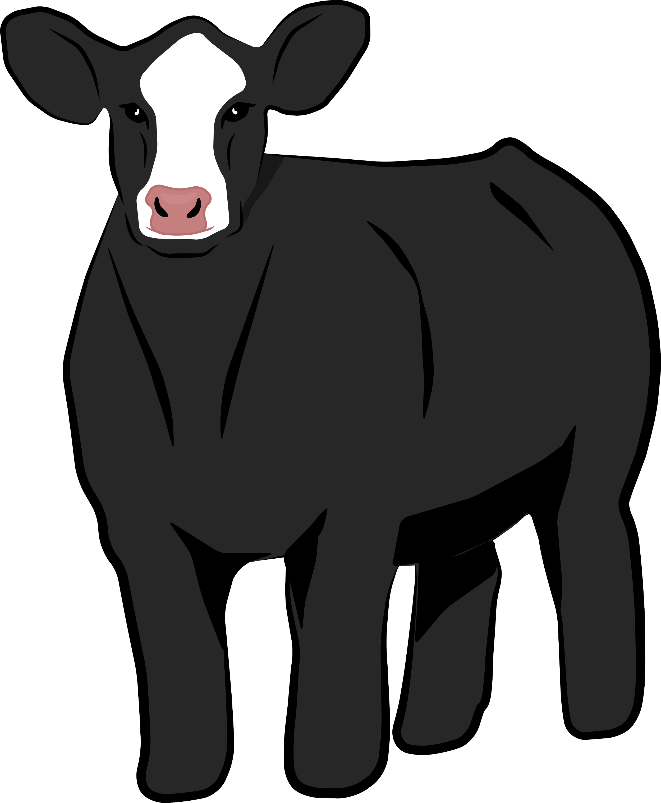 Show Steer