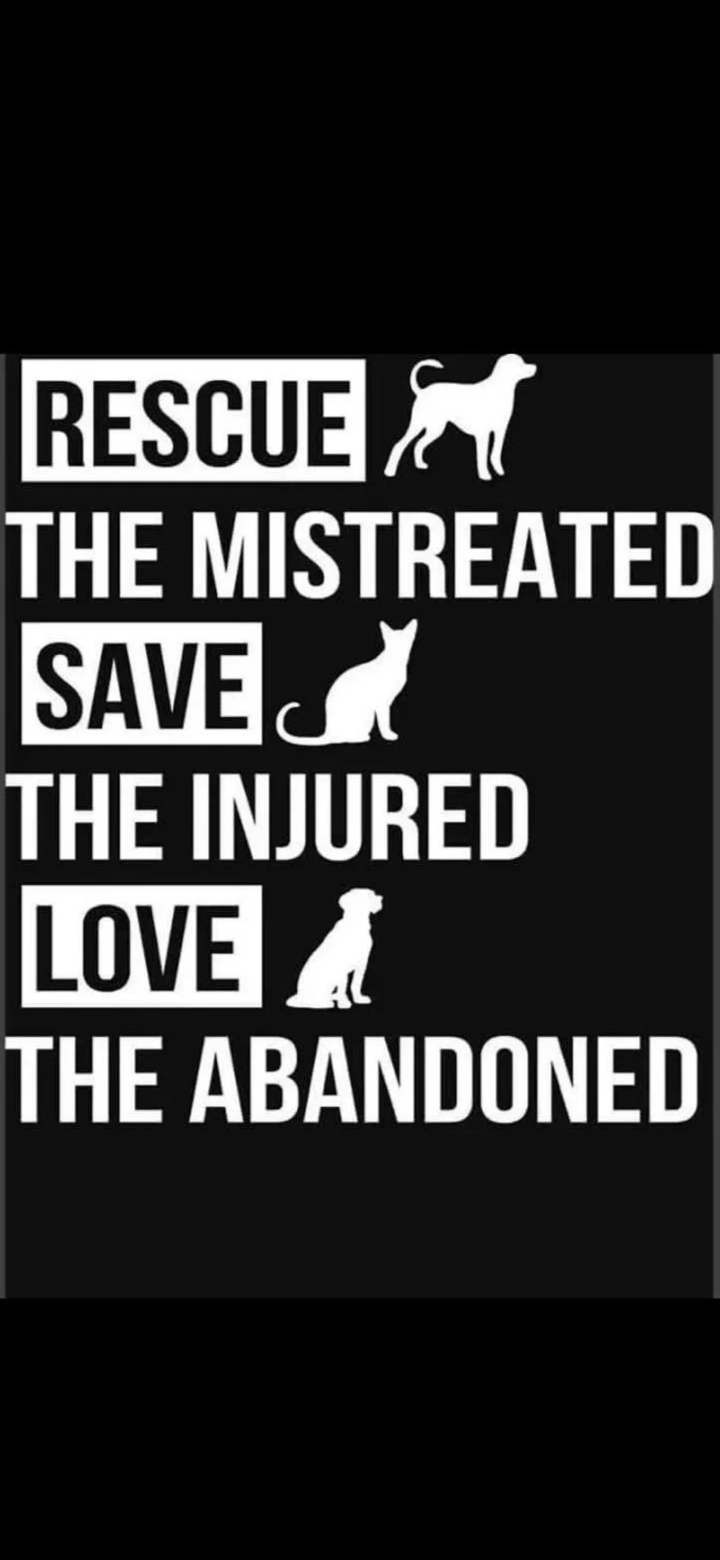 A black and white graphic with the phrase 'Rescue the mistreated, save the injured, love the abandoned' alongside silhouettes of a dog, cat, and rabbit.