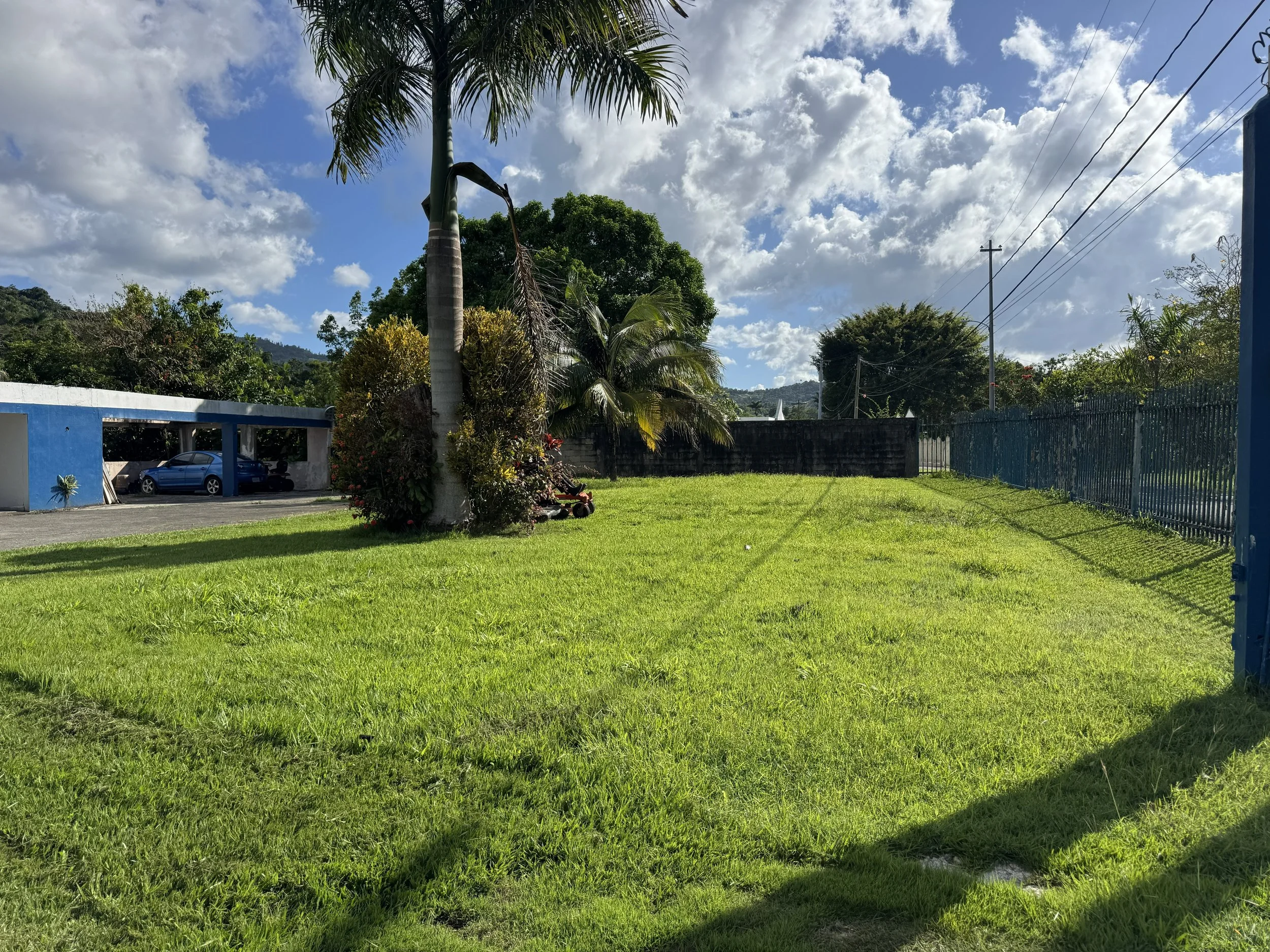 Yard work at Bayamon