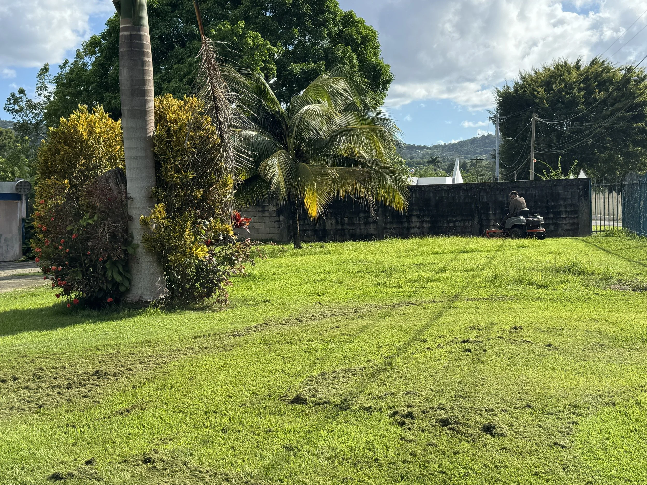 Groundskeeping work 
