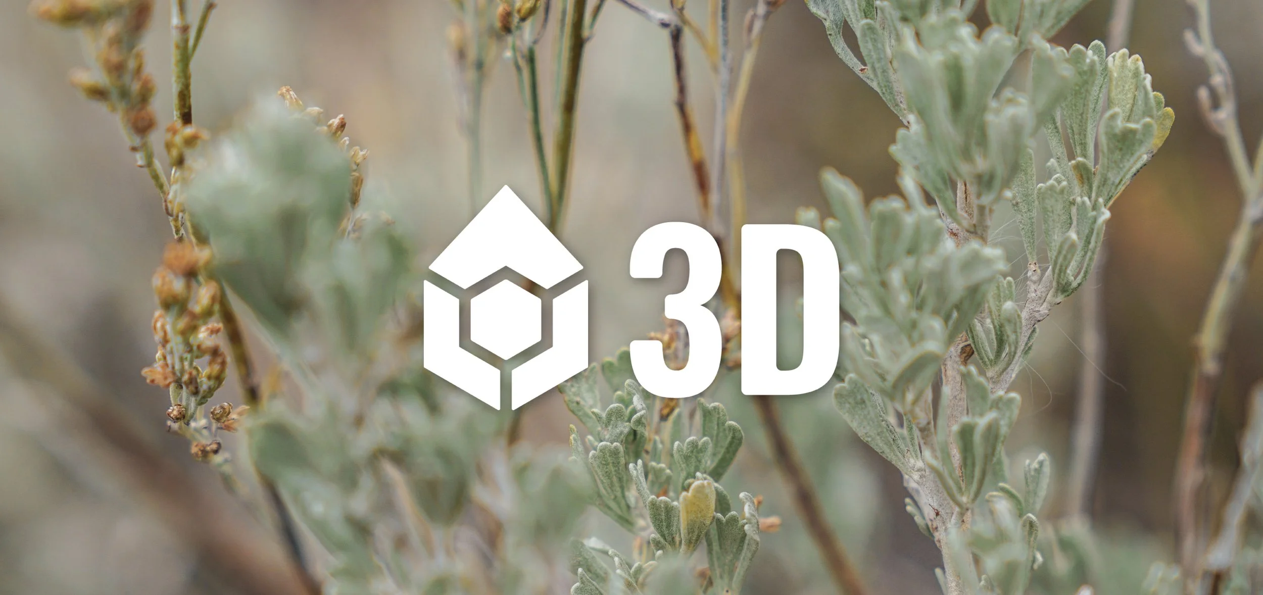 White tech logo against central oregon sagebrush photography